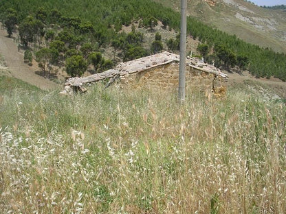 CASA E TERRENO MULA – CDA CIPOLLA