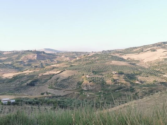 HOUSE AND LAND TAMMUZZO – CDA PETRARO
