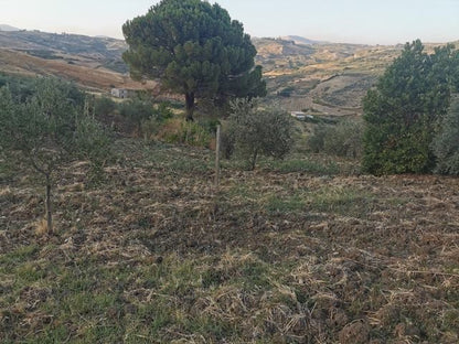 HOUSE AND LAND TAMMUZZO – CDA PETRARO