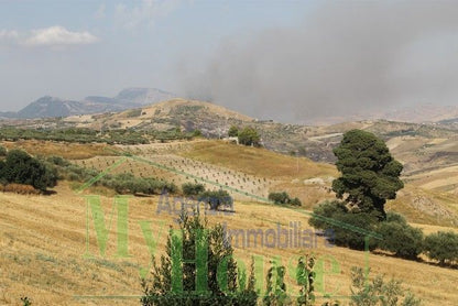 CASA  E TERRENO PANORAMICA  BARBARO CDA FELICIA