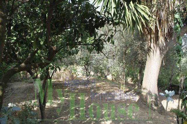 CASA  E TERRENO PANORAMICA  BARBARO CDA FELICIA