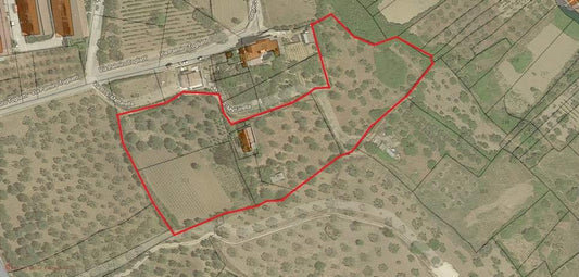 TERRENO E CASA  ALFANO – CONTRADA CIANCIANIA