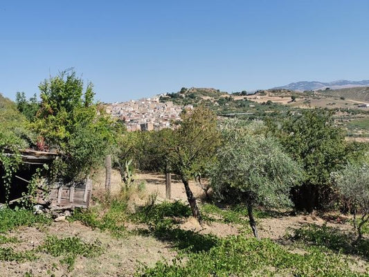 TERRENO GAGLIANO CDA CICCIONE