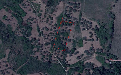 TERRENO CDA CALIATO - MONTEVAGO