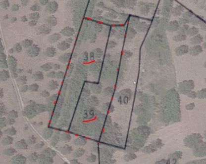 TERRENO CDA CALIATO - MONTEVAGO