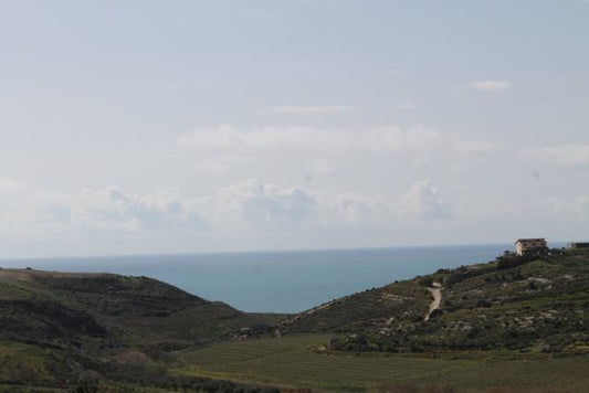 TERENNO PANORAMICO TERESA – TORRE SALSA (AG)