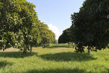 TERENNO PANORAMICO TERESA – TORRE SALSA (AG)