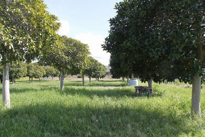 TERENNO PANORAMICO TERESA – TORRE SALSA (AG)