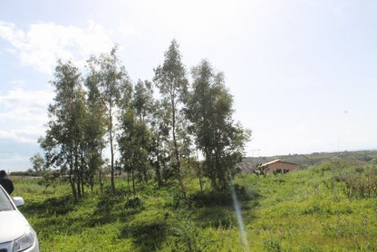 TERENNO PANORAMICO TERESA – TORRE SALSA (AG)