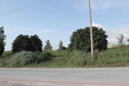 TERENNO PANORAMICO TERESA – TORRE SALSA (AG)
