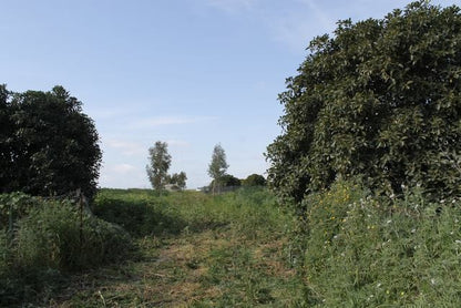 TERENNO PANORAMICO TERESA – TORRE SALSA (AG)