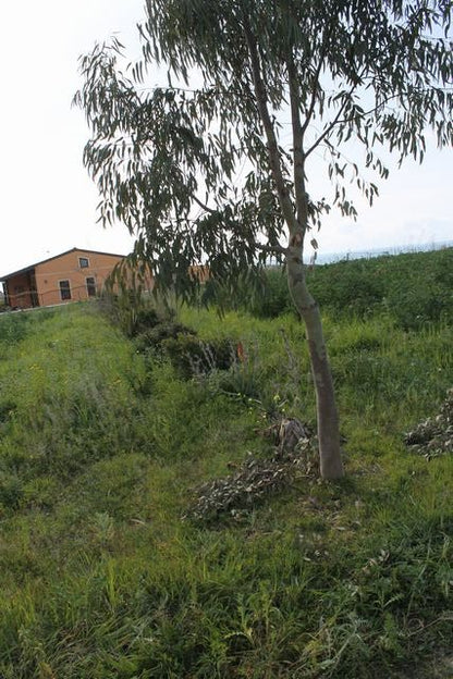 TERENNO PANORAMICO TERESA – TORRE SALSA (AG)
