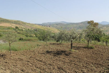 MAGAZZINO E TERRENO PANORAMICO DI MORA – CDA CANALARO