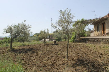 MAGAZZINO E TERRENO PANORAMICO DI MORA – CDA CANALARO