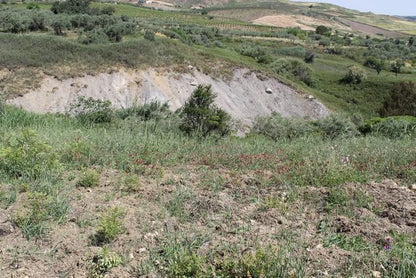 MAGAZZINO E TERRENO PANORAMICO DI MORA – CDA CANALARO
