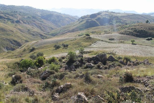 TERRENO SANZERI CONTRADA MILLAGA