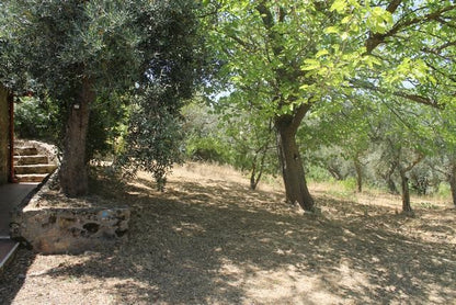 VILLA CON PISCINA - CARUBIA CDA MARULLO