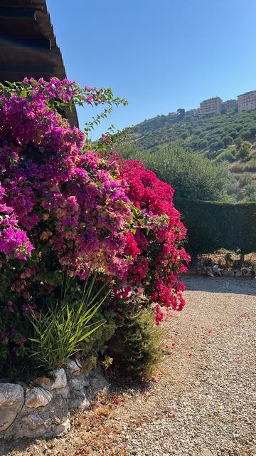 VILLA DOLCE – CDA DIFISA, CIANCIANA (AG)