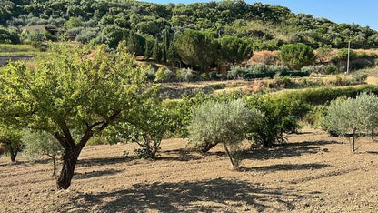 VILLA DOLCE – CDA DIFISA, CIANCIANA (AG)