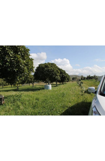 TERENNO PANORAMICO CASOLA – TORRE SALSA (AG)