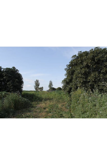 TERENNO PANORAMICO CASOLA – TORRE SALSA (AG)