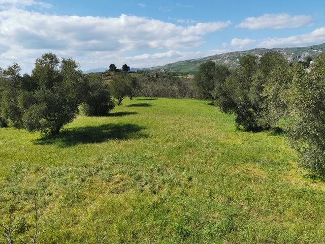 VILLA E TERRENO VERONIQUE CDA ZACCURAFA