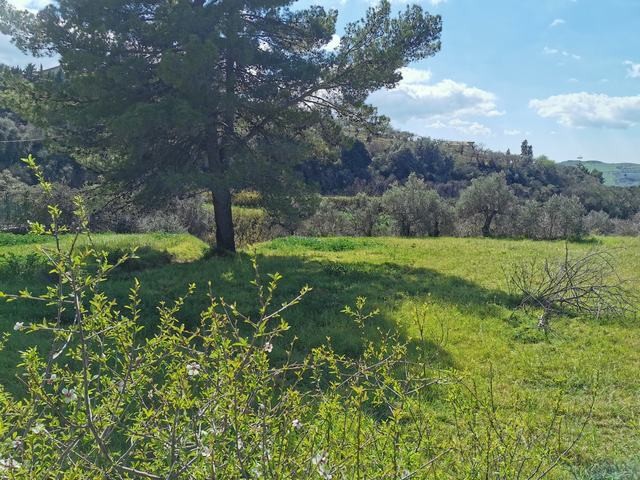 VILLA E TERRENO VERONIQUE CDA ZACCURAFA