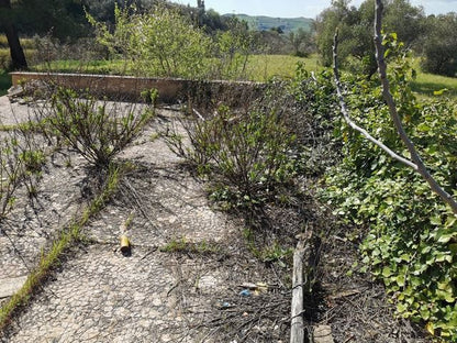 VILLA E TERRENO VERONIQUE CDA ZACCURAFA
