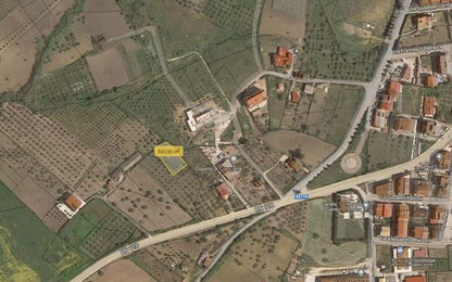 TERRENO FRIULLI