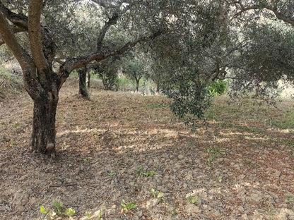 HOUSE AND LAND GUIDA - CDA QUARTO ROCCHI