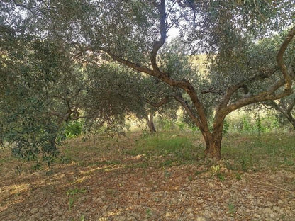 HOUSE AND LAND GUIDA - CDA QUARTO ROCCHI