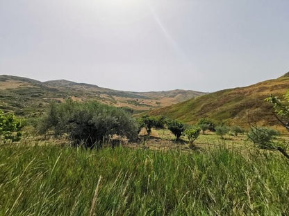 HOUSE AND LAND PERZIA – CDA PETRARO