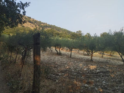CASA PANORAMICA E TERRENO LETO -  SANTO STEFANO QUISQUINA