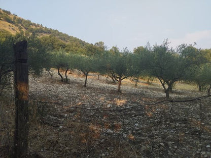 CASA PANORAMICA E TERRENO LETO -  SANTO STEFANO QUISQUINA