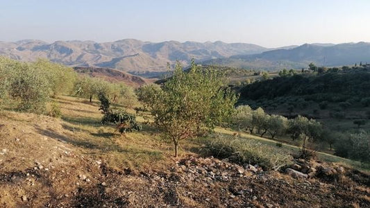 HOUSE AND LAND MARTORANA CDA NANNU