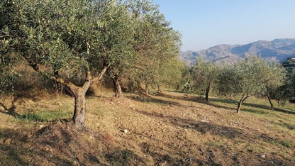 HOUSE AND LAND MARTORANA CDA NANNU