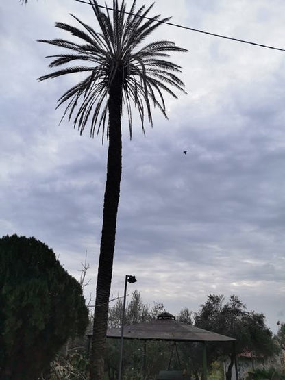 VILLA CON GIARDINO - VILLA FELICE