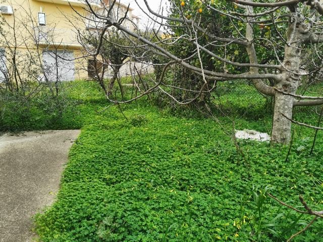 VILLA CON GIARDINO - VILLA FELICE