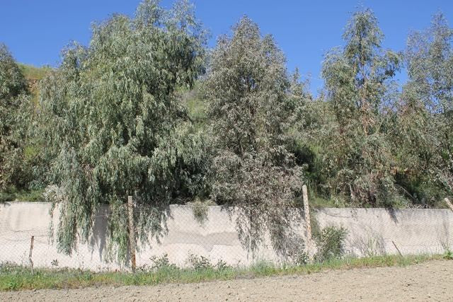 WAREHOUSE AND LAND BONDI – CDA MENDORLA