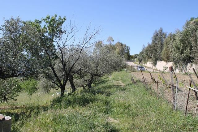 WAREHOUSE AND LAND BONDI – CDA MENDORLA