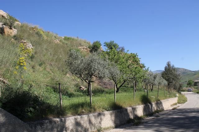 WAREHOUSE AND LAND BONDI – CDA MENDORLA