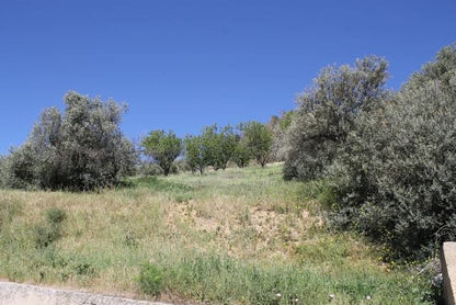 WAREHOUSE AND LAND BONDI – CDA MENDORLA