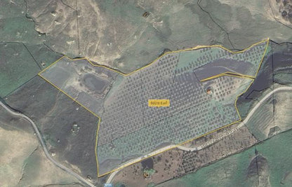TERRENO BISSANA CON CASA COLONICA E LAGO