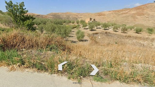 TERRENO BISSANA CON CASA COLONICA E LAGO