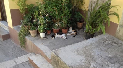 CASA MIYUKI – VIA ROMA (PIANO TERRA E PRIMO PIANO)