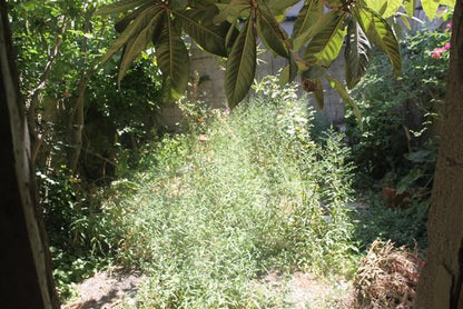 HOUSE WITH GARDEN – CALDARA SAN BIAGIO PLATANI (AG)