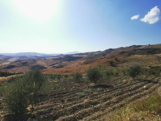 TERRENO GUIDA –  CDA BALATA
