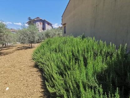 HOUSE AND LAND GUIDA - CORSO CINQUEMANI ARCURI
