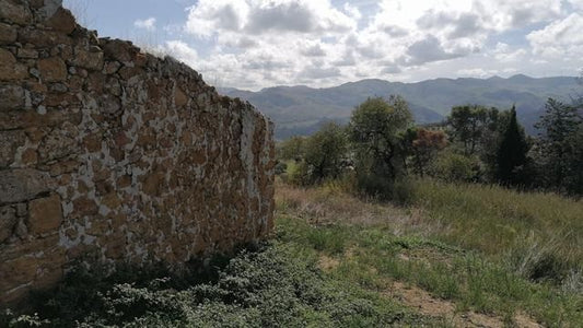 TERRENO E CASA CINQUEMANI VIA UGO FOSCOLO