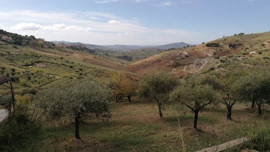 PANORAMIC HOUSE AND LAND PULIZZI ORLANDO – CDA SAVARINI